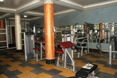 GYM2